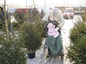 taki wybór... taki wybór...