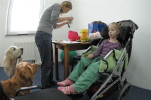pieski czekają dogoterapia, rehabilitacja, Michałkowo