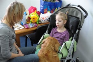 coś dla Draki dogoterapia, rehabilitacja, Michałkowo