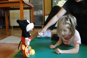 sebastian.niznik@wp.pl, tel. 509415410