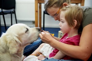 karmienir Yoko Michałkowo, ćwiczenia, rehabilitacja, turnus, dogoterapia