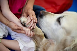 podaj łapkę :) Michałkowo, ćwiczenia, rehabilitacja, turnus, dogoterapia