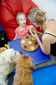 pieski w gotowości :) Michałkowo, ćwiczenia, rehabilitacja, turnus, dogoterapia