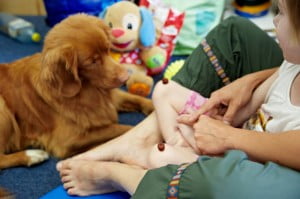 jedzonko na kolanku Michałkowo, ćwiczenia, rehabilitacja, turnus, dogoterapia