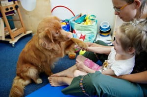 podaj łąpę :) Michałkowo, ćwiczenia, rehabilitacja, turnus, dogoterapia