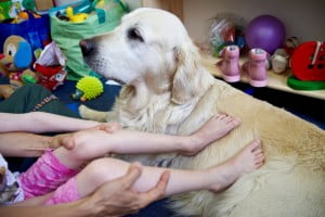 nóżki na Yoko Michałkowo, ćwiczenia, rehabilitacja, turnus, dogoterapia