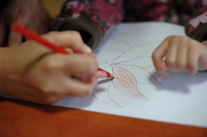 12 dębów, zaździerz, rehabilitacja, ndt, porażenie mózgowe, terapia zajęciowa