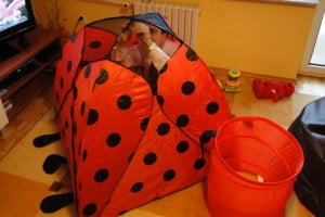 nie było łatwo ale za to wesoło :)