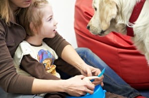 dogoterapia michałkowo 