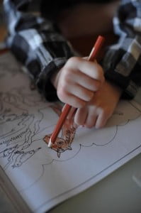 julkaimy, julia nowacka elbląg