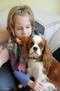 :) dogoterapia, kynoterapia, julka i my, elbląg