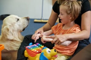 michałkowo, julkaimy, bielsko ćwiczenia dogoterapia