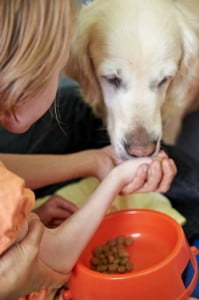 michałkowo, julkaimy, bielsko ćwiczenia dogoterapia
