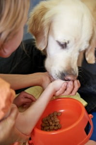 michałkowo, julkaimy, bielsko ćwiczenia dogoterapia