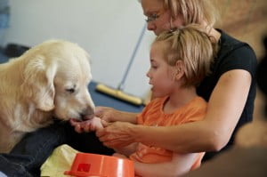 michałkowo, julkaimy, bielsko ćwiczenia dogoterapia