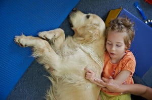 michałkowo, julkaimy, bielsko ćwiczenia dogoterapia