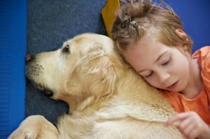 michałkowo, julkaimy, bielsko ćwiczenia dogoterapia