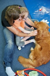 michałkowo, julkaimy, bielsko ćwiczenia dogoterapia, terapia ręki 