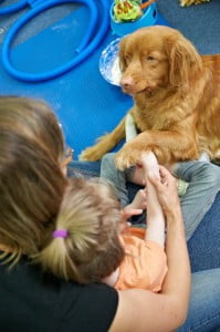 michałkowo, julkaimy, bielsko ćwiczenia dogoterapia, terapia ręki 