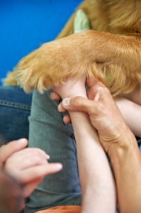 michałkowo, julkaimy, bielsko ćwiczenia dogoterapia, terapia ręki 