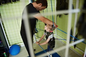 zza kratek pajączka Arka rehabilitacja Elbląg dunag