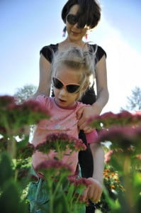 kwiaty, przyroda, kępa, 