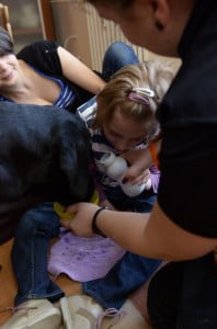 powolutku dogoterapia, kynoterapia, fundacja psy dzieciom, julkaimy,