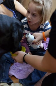 pijemy  dogoterapia, kynoterapia, fundacja psy dzieciom, julkaimy,
