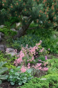 piękny ogród julkaimy,