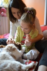 :)) julkaimy, cavalier, pies, szczeniak, kings charles spaniel