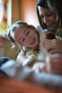 zabawa julkaimy, cavalier, pies, szczeniak, kings charles spaniel