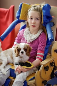 wspólne siedzenie w krzesełku julkaimy, cavalier, pies, szczeniak, kings charles spaniel