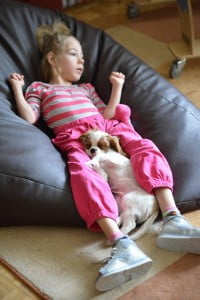 i śpimy :) julkaimy, cavalier, pies, szczeniak, kings charles spaniel