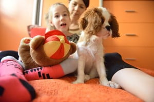 :) z Misiem bajeczką