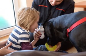Jula i Negra  kynoterapia,dogoterapia, polskie towarzystwo kynoterapeutyczne